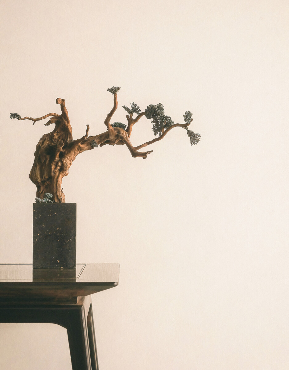 Bonsai_15-937x1200