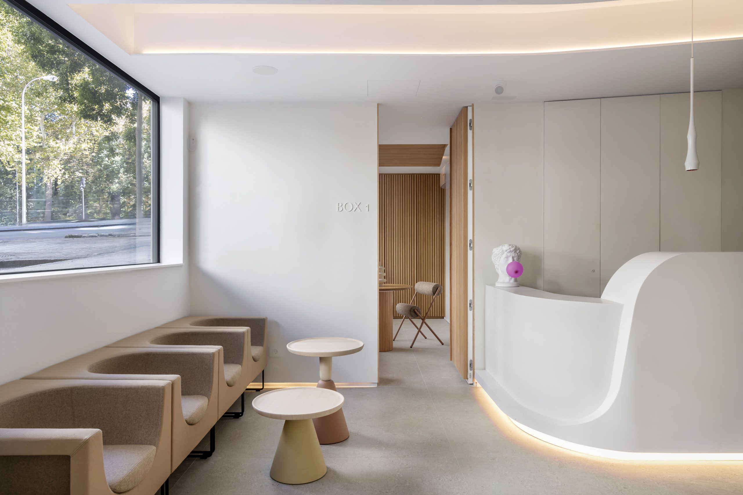 Clínica Pedroche Dental Wellness Calle Spalter Recepcion